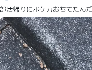 【ポケカ】部活帰りにポケカ（ミュウ）落ちてたんだけどｗｗｗ