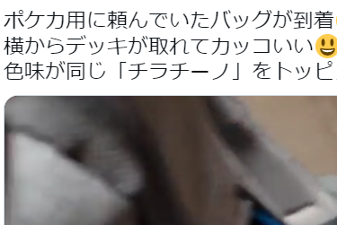 【ポケカ】『ポケカ用に頼んでいたバッグが到着！』『めちゃくちゃいいな』