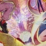 【ポケカ】〇〇連打してたら対戦相手にキレられてしまったのだが…